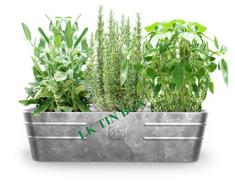 China Crecimiento rectangular de las hierbas de las plantas de las verduras de la flor del cubo de la lata del metal proveedor